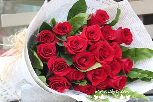 玫瑰花语解析：19朵玫瑰的象征意义
