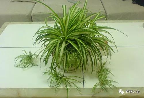 科学依据的探讨