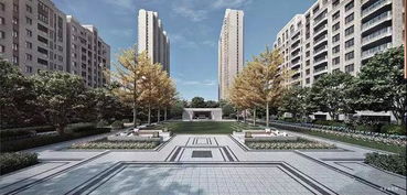 老年人的悠闲时光