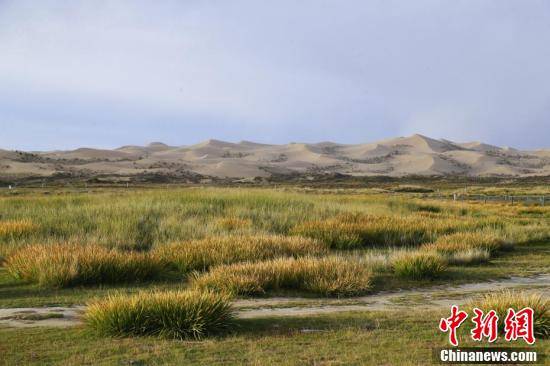 海北藏族自治州， 藏匿着多家精细化学品公司