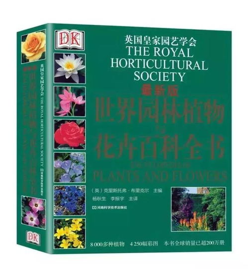 花卉养护，耐心与细心