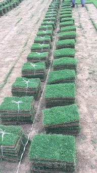 养护黑科技三件套