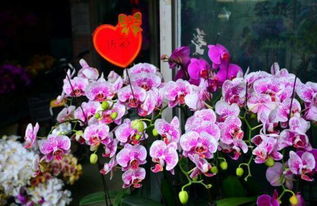 母亲节买花，如何避开网购陷阱，省下150元？