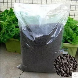 磷肥一上，花儿笑