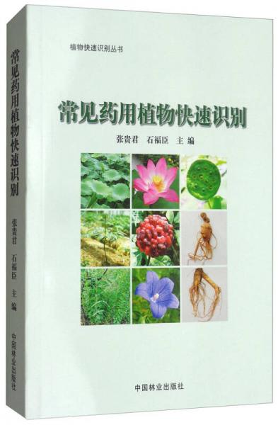 这些常见药用植物如何正确识别和采集呢