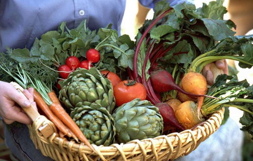 水果种植， 甜蜜来袭