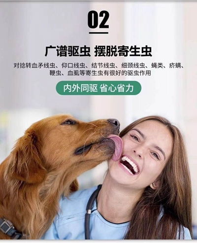 狗狗驱虫小知识：阿维菌素的效果如何？