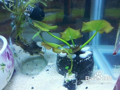 先说说得堪堪河道的水深