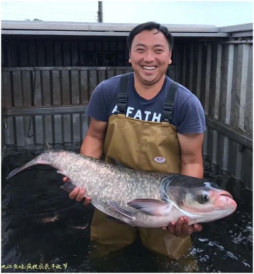 花卉放养秘籍：五要点助您成功培育珍稀鱼苗