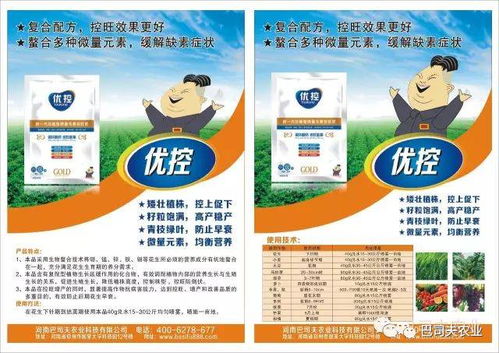 花生，控旺的时间表