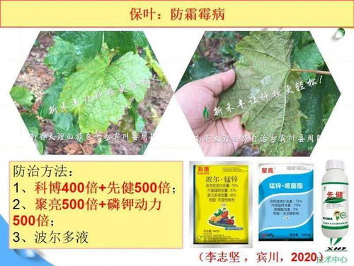 科学配比，省心省力