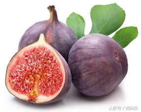 无花果：一种营养价值高、药用价值丰富的水果