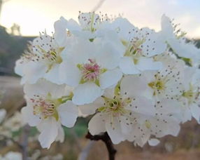 浇水的时机，得讲究