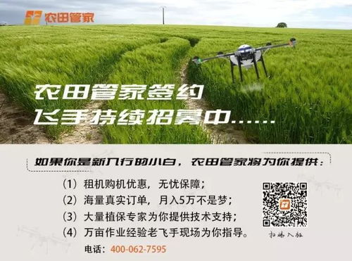 植物源农药， 大自然的保护神