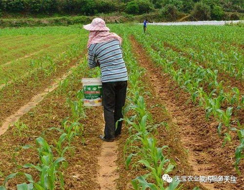 混用有风险，平安Zui重要