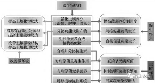 微生物农药：利用微生物生产