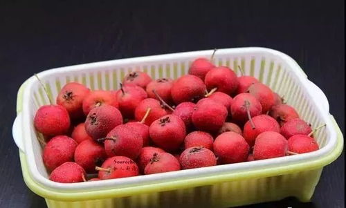 新鲜山楂怎么吃更美味？这些做法让你回味无穷