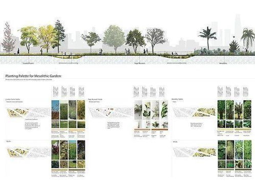 植物配置在经济性分析中的体现