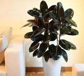 浸泡时间，kan这里！