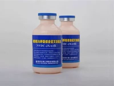 蓝耳疫苗实战指南：灭活疫苗适用于哪些猪场