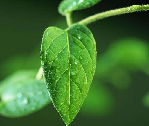 极端测试与冷知识