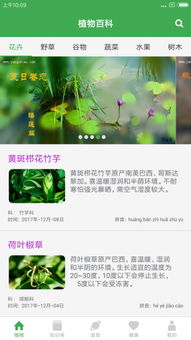 植物百科大图鉴App， 绿色知识宝库的钥匙
