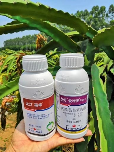 化学结构， 决定性质