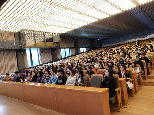 郑州大学美术学院：视觉传达设计专业的魅力所在