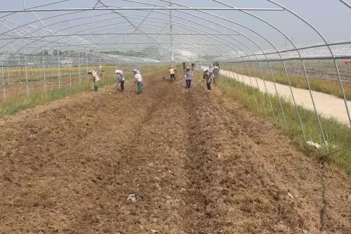 先浇水还是先喷药？