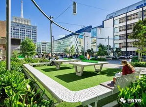 环保理念， 校园新篇章