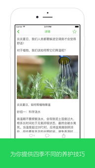 室内绿植的养护与管理