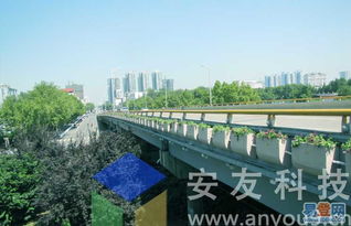 城市高架桥立体绿化：植物成活与桥梁平安的关键点