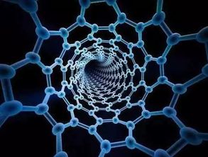 将花如何竖立？神奇魔法还是科学原理