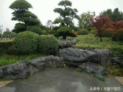 庭院石头的摆放， 一个有味道的话题