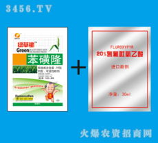 小麦田里的氯氟吡氧乙酸：除草速度快
