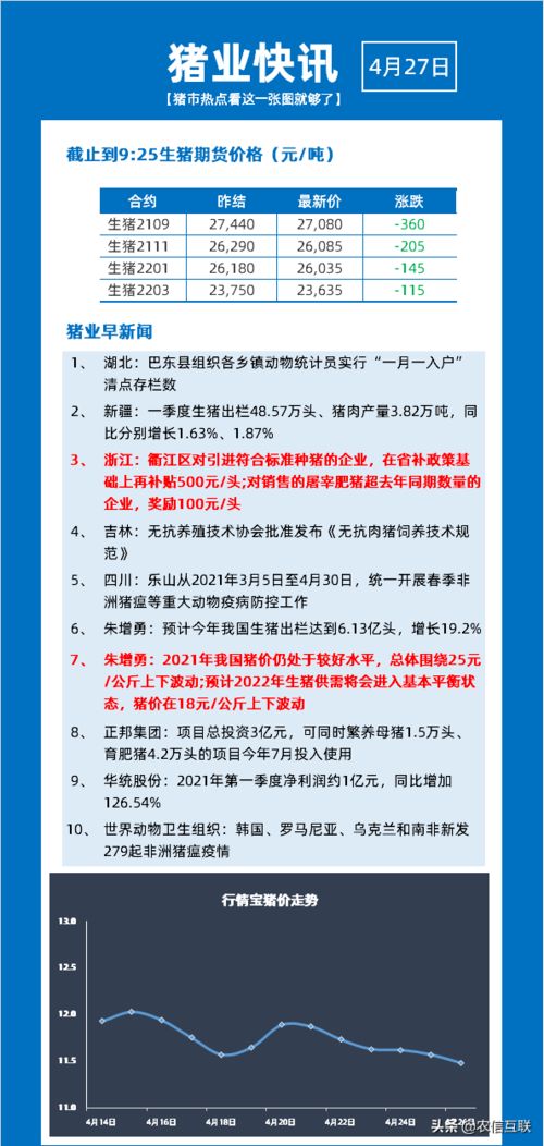探究猪价波动背后的经济规律与市场玄机