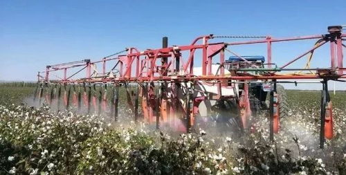 浇水时间的讲究