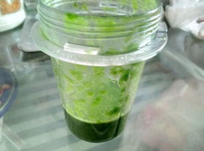 自制杀虫剂， 花花草草dou欢喜