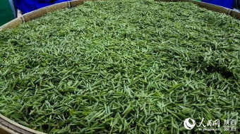 第三个死穴：土里藏着“杀手”