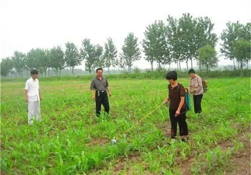 苗前除草剂怎么选？这几个适合苗前使用