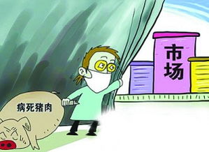 优化病死畜禽处理，保障养殖环境安全