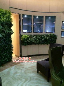 室内绿植墙：打造绿色家居的秘密武器