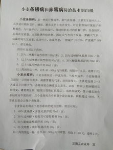 试验证明效果显著