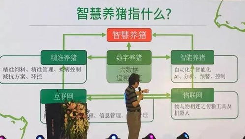 安佑饲料的公司宗旨是什么？能否详细介绍一下其致力于绿色养殖和动物健康的核心理念？