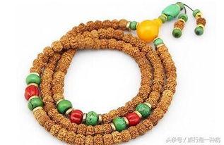 “揭秘菩提子品种，材质大揭秘！”