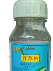 百草枯接触皮肤后的严重症状