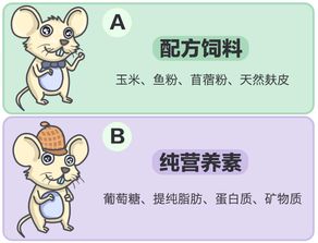 羊眼屎增多：揭秘致命隐患，科学治疗指南