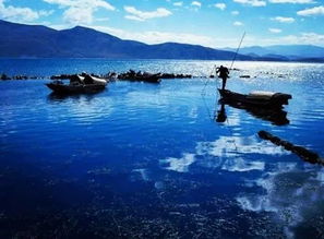 洞庭湖滩涂绿草鉴定难，生态修复省30万，三大草本是哪些？