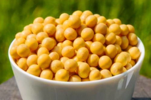 黄豆胚芽提取物：缓解更年期综合征的天然良方