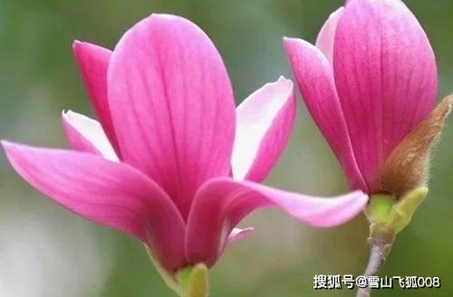 八月份：还是旱季， 要排涝和喷水